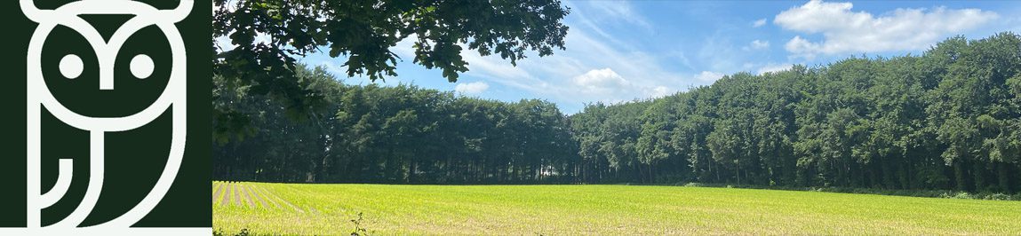 Het groene dwaalspoor